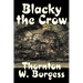 Blacky the Crow by Thornton Burgess, Fiction, Animals, Fantasy & Magic