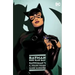 Batman: One Bad Day: Catwoman