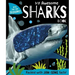 My Awesome Sharks Book