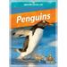 Penguins