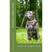 italian corso dog: italian corso dog