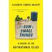 The Sum of Small Things: A Theory of the Aspirational Class