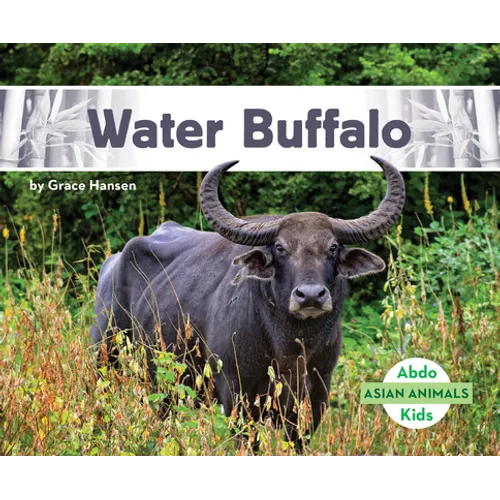Water Buffalo
