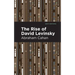 The Rise of David Levinsky