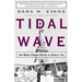 Tidal Wave: How Women Changed America at Century's End