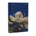 NRSV Catholic Edition Bible, Magnolia Hardcover (Global Cover Series): Holy Bible