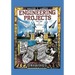 Engineering Projects for the 21st Century