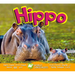 Hippo