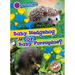 Baby Hedgehog or Baby Porcupine?