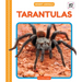 Tarantulas