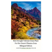Best Drought Tolerant Grass Plant For Hot Desert Climates Zone Bilingual Edition Hardcover Version