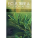 Ficus Tree and Ficus Bonsai Tree. The Complete Guide to Growing, Pruning and Caring for Ficus. Top Varieties: Benjamina, Ginseng, Retusa, Microcarpa,
