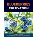 Blueberries Cultivation: The Complete Guide to Growing Blueberries