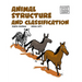 Animal Structure and Classification