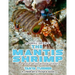THE MANTIS SHRIMP Do Your Kids Know This?: A Children's Picture Book