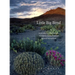 Little Big Bend: Common, Uncommon, and Rare Plants of Big Bend National Park