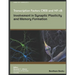 Transcription Factors CREB and NF-KB: Involvement in Synaptic Plasticity and Memory Formation