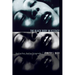 The Black Body in Ecstasy: Reading Race, Reading Pornography
