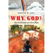 Why, God? His Purposes in Our Pain