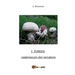 I Funghi