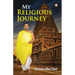 My Religious Journey