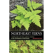 Northeast Ferns: A Field Guide to the Ferns and Fern Relatives of the Northeastern United States