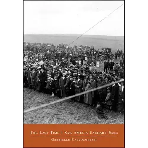 The Last Time I Saw Amelia Earhart: Poems