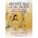 Secret Map of the Body: Visions of the Human Energy Structure