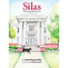 Silas The Great House Cat