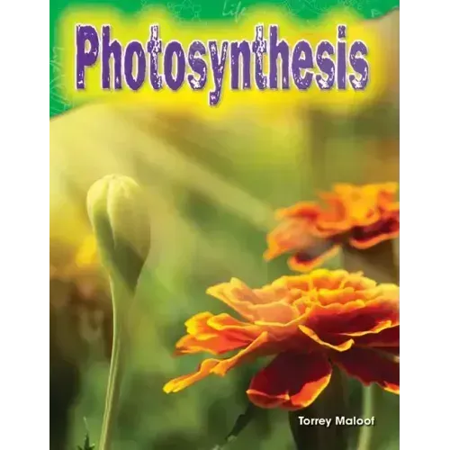 Photosynthesis