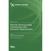 Remote Sensing Image Classification and Semantic Segmentation