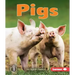 Pigs