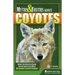 Myths & Truths About Coyotes: What You Need to Know About America's Most Misunderstood Predator