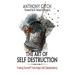 The Art Of Self Destruction