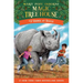 Rhinos at Recess