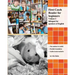 First Czech Reader for beginners, Volume 2: bilingual for speakers of English