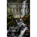 The Raven And The Crow: Dark Storm Rising