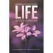 Picking Up the Pieces: Life After Cancer
