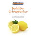 Budding Entrepreneur: Budding Entrepreneur is a story to help children discover entrepreneurship.