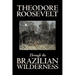 Through the Brazilian Wilderness by Theodore Roosevelt, Travel, Special Interest, Adventure, Essays & Travelogues
