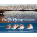 Pacific Flyway: Waterbird Migration from the Arctic to Tierra del Fuego