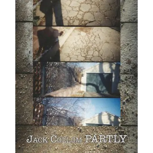 Partly: Selected Poems: 1954-2016