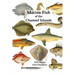 Marine Fish of the Channel Islands