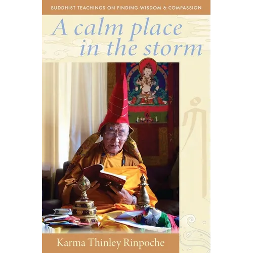 A Calm Place in the Storm: Buddhist Teachings on Finding Wisdom and Compassion