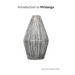 Introduction to Mridanga