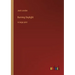 Burning Daylight: in large print