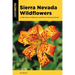 Sierra Nevada Wildflowers