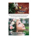 Survival Medicine Guide: 86 Most Effective Remedies And Best Recipes To Cure Children With Healing Herbs: (Herbal Medicine, Essential Oils For