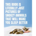 This Book Is Literally Just Pictures of Snoozy Animals That Will Make You Sleep Better