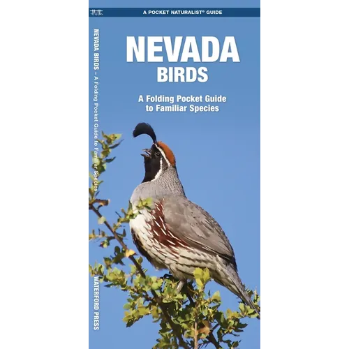 Nevada Birds: A Folding Pocket Guide to Familiar Species